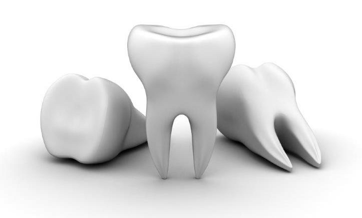 partial-root-canal