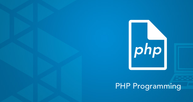 php curl basic auth
